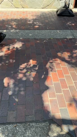 Exploring Monchhichi Dolls in Little Tokyo | Cute Monkey Toy Shop Tour