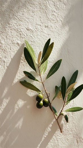 Women Empowerment | Mindset | Personal Growth on Instagram: "Girl… 🫶✨ be silly 🤪 be fun 💃 be different 🌈 be a little crazy 😜 be YOU 👑 The world doesn’t need another copy 🤍 it needs your laugh, your weird, your magic ✨ life’s way too short to dim your light or play small. choose joy 🌸 choose fun 🎉 choose the version of you that feels free 🦋 Double tap if you’re choosing happiness 💖✨ If this resonates with you, welcome to my page, Queen 💖✨This is your reminder that you are that woman..