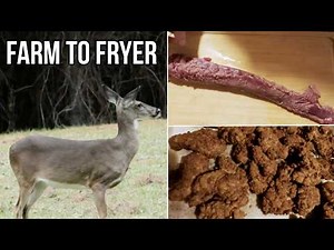 How We Fry Deer Backstrap