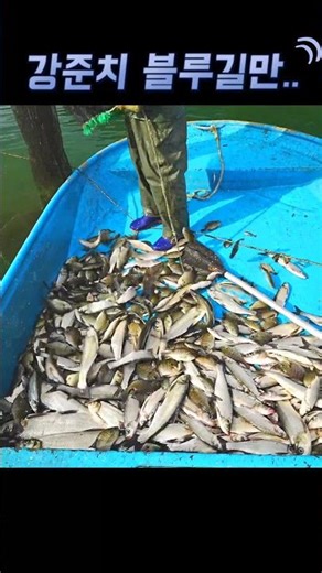 어부 하기 힘들다~