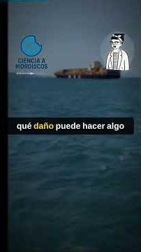 🌿 Nobody Knows How to Stop the Mussel That Killed Lake Michigan #Shorts