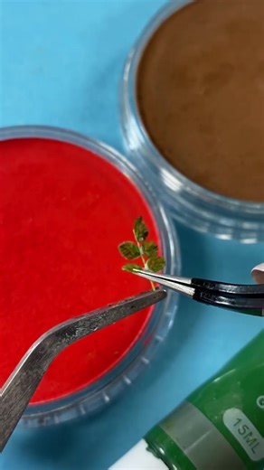 #minifoodmaking #dailymini #tinythings #dollhousekitchen #dollhouseminiatures #miniaturetutorial #miniaturevideo #diy #craft