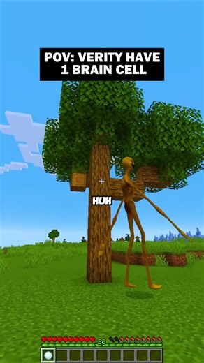 POV: VERITY HAVE 1 BRAIN CELL!