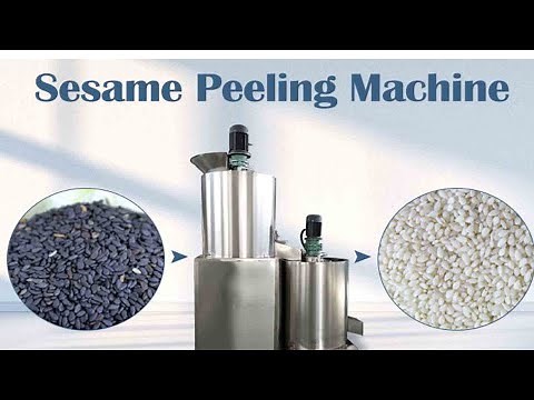 Integrated sesame cleaning and peeling machine | sesame peeler machine | sesame hulling machine