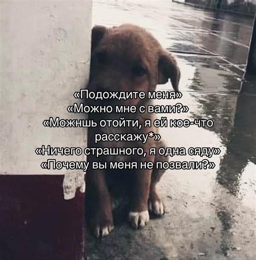 #одиночекство #третийлишний #рекомендации