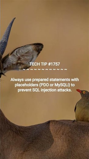 Stop SQL Injection in PHP | 2025-12-18 | #Shorts #productivityhacks #webdevelopmenttips