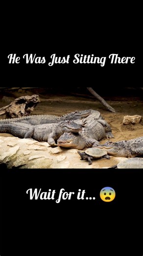 This Crocodile Exploded Out of the Water 😳🐊” #trending #wildlife