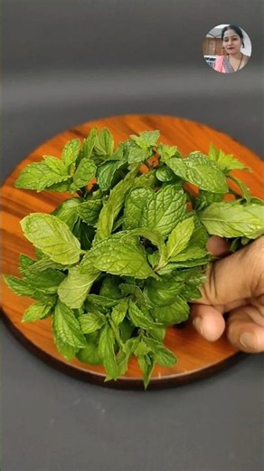 pudina khane Ke fayde | Benefits of Mint ❣️#ayurved #helthbenefits #healthytips #facts #viral