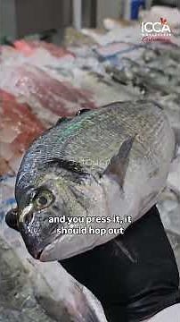 🐟 Buying Fresh Fish? Here’s How Chefs Know.