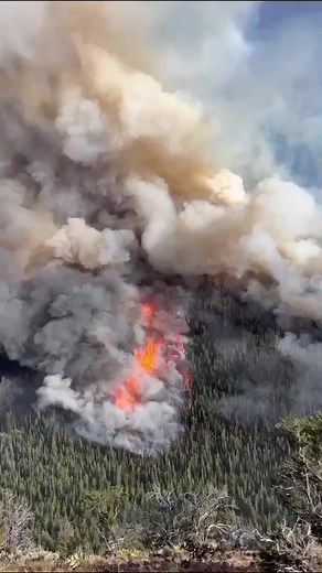 Activity from the Hayden Fire in Idaho.Fire managers are saying the fire has reached 47% completion. Due to the numerous tactics being used for suppression they are using this terminology instead of"contained". The fire is now 22,000 acres. Portions of Idaho are under red flag warnings today. | Themanspot