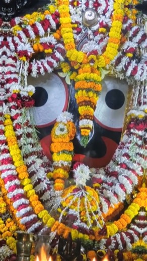 🙏JAGANNATH PURI + TEMPLE VIEW#shorts#shortvideo#shortsfeed#viral#trending#youtubeshorts#jagannath#yt