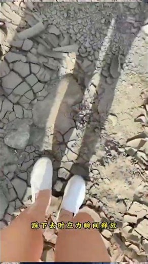 Why do most people step on this kind of dry, cracked soil? #DriedMud #Mud #Science #LearnSomethin...