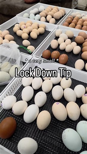 172 reactions · 11 comments | A simple line drawn all the way around...