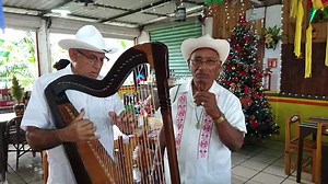 El Colas y el Agualulco Por el dueto Alvaradeño lo encuentran en Arbolillo Veracruz, cerca de Alvarado. Contrataciones al teléfono:2971024542 | Vive el Folklore