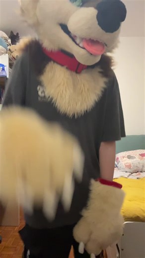 Tail wags! #furry #fursuit #fursuiter #furryfandom #fursuittail | fursuit