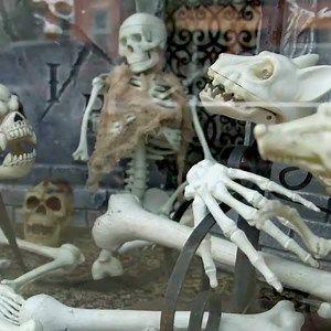 Spooky season is almost here! Andddd a visit to Salem is in order. 🎃 We’re taking over the town for Haunted Salem Live, this Friday (Oct. 4) at 8|7c! Get more deets here >>> https://traveldaily.com/2kpzLas | Travel Channel