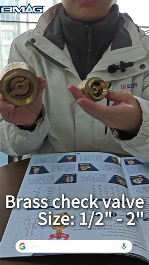 Brass Spring Check Valve Explained – How It Works & Why You Need One | BMAG Valve