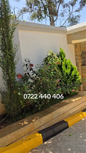 Koech Kenn 0719 808919 Elite Kenya Landscapers We bring your dreams into a reality ✅️✅️✅️ We offer complete Landscaping solutions country wide Contact 0719 808919 Sms 0719 808919 WhatsApp 0719 808919