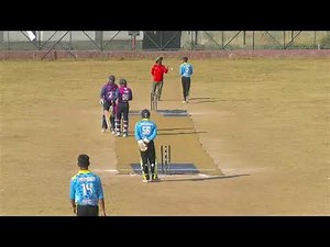 The Will Live Stream