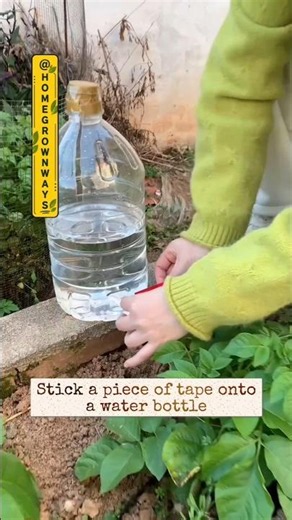 How to make a drip irrigation system for your plants#garden #roomtogrow #gardening #growathome