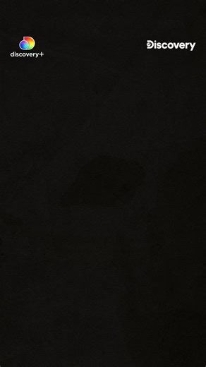 The final piece is about to fall into place…1 Day to Go! Get ready to uncover Mahabharata’s deepest secrets. ⚔️ Watch "Mystery Hunter", premiering tomorrow at 9PM only on #DiscoveryChannelIndia & discovery #DiscoveryChannelIn #DiscoveryChannel #Discovery #DiscoveryPlusIN #DiscoveryPlusIndia #DiscoveryPlus #MysteryHunter #RannVijaySingha #IndianMystery #DiscoverIndia #India #iDiscover | Discovery Channel India