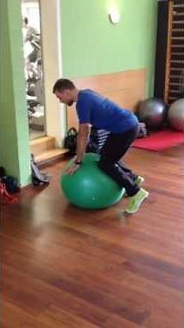 [VDS0000035] Le 4 pattes sur Fitball.