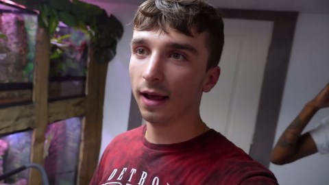 Watching the world’s largest gecko hatch turns into a once-in-a-lifetime moment