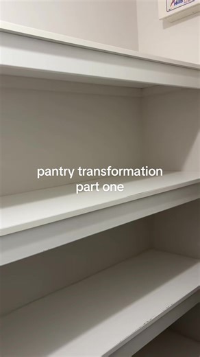 Pantry Transformation After Grain Mite Infestation