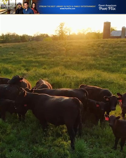 The Hamilton family’s story begins. Stream Crossroad Springs, where faith runs deep, family roots grow strong, and small-town legacy takes center stage. Now available only on Great American Pure Flix. | Great American Pure Flix