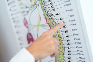 Qué es la homeostasis: autorregulación del medio interno | León Monzón