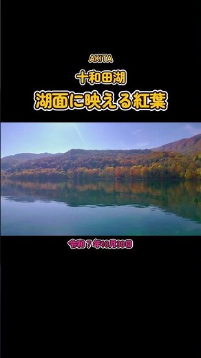 湖面に映える紅葉 #十和田湖#紅葉#ドローン
