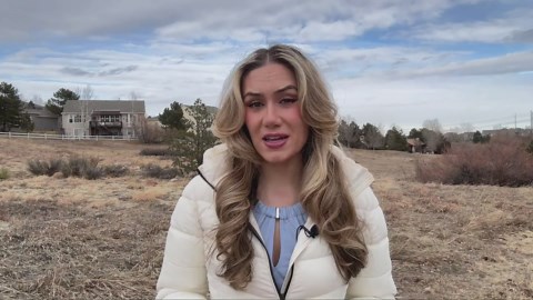 Dog accidentally poisoned by rat poison found in Colorado yards