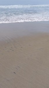 ¡Gracias por ser una de las personas que más interactuó y por estar en mi lista de participación semanal! 🎉 Edith Figueroa, Angelina Ceja, Kasandra Chaidez, Claudia Jimenez, Ricardo Marquez, Carmen Romero, Rousa Alejandro, Delia Vargas Martinez, Enamorada Bombon Eternamente, Artemio Quiroz, David Gabriel, Mirtelia Valerio, Karen Palacio, Flavia Caballero, Lucas Vives, Belkis Ramirez, Ruben Villamueva, Lisseth Palasio | Marcos Rojas Roman