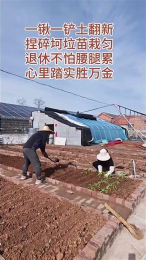 Retirement Renovation: Grow Your Own Fruit Trees with Just One Shovel