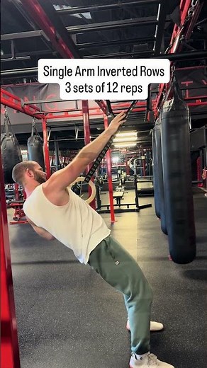 Single Arm Inverted Rows