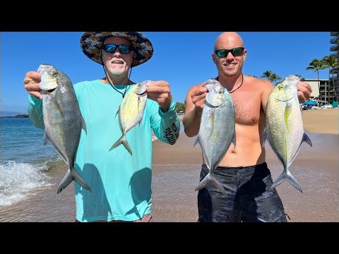 Loading the Boat with Tasty Hawaiian Fish | 1 Hour Livestream!
