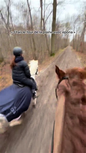 Mon acolyte @Apache & Mathilde #pourtoii #trend #poney