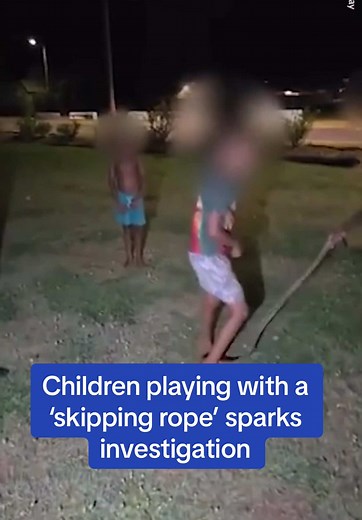 Look closer! 😳 #animal #animalwelfare #python #disturbing #skipping #dailymail #fyp #crime #crimetok #australia
