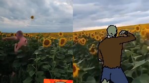 Man Punching Sunflowers | Know Your Meme