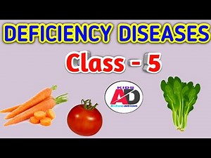 Deficiency Diseases || Class 5 || Lack of Protein
