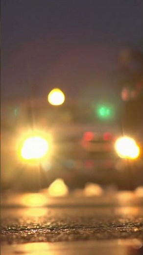 No-Fault Car Insurance – Simplified Coverage for Peace of Mind