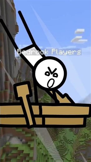 Java player vs bedrock player