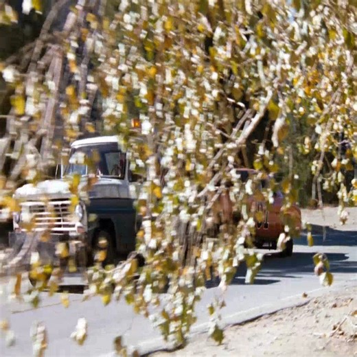 The Dukes of Hazzard S02E12 – Arrest Jesse Duke #P8 #dukesofhazzard #hazzardcounty #generallee #hazzard #daisyduke | Back To 80s