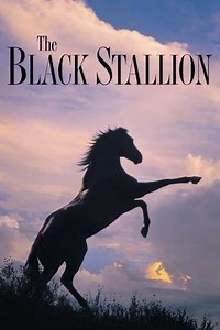 The Black Stallion (1979) - Where to Watch