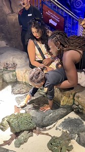 She mastered the courage to touch it. Exploring the aquarium at the Dubai mall Dubai Mall #dubai #travel | A Life Less Scripted