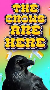 day176: hello hey hi today i have a small crow update! i made them this nice lil snack box but will they like it? (no) but its ok there always another day since im almost at 200🫵🐸🫵 ok oh yea thank u for all your milkhouse6000.net orders! n once again it surpassed what i thought and so theres a ✨small✨ delay getting them all shipped out since it’s just me packing them with my own 2 hams. ok i think that’s it have a good day! #crow #crows #corvids #corvid | Milk House