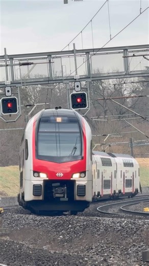 Stadler kiss A l’allemande#train #railway #trainspotting #plm #railroad