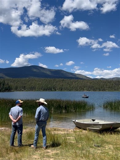 Wheretonext on Reels