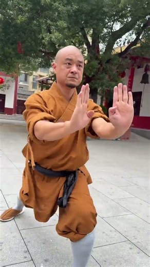 Shaolin Boxing is as powerful as a tiger and the force of its punches is as strong as a dr