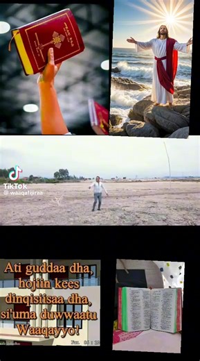 birte (@birte330)’s videos with original sound - birte